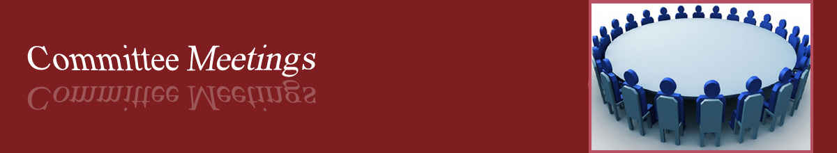 IEIAPSC Committee Meetings